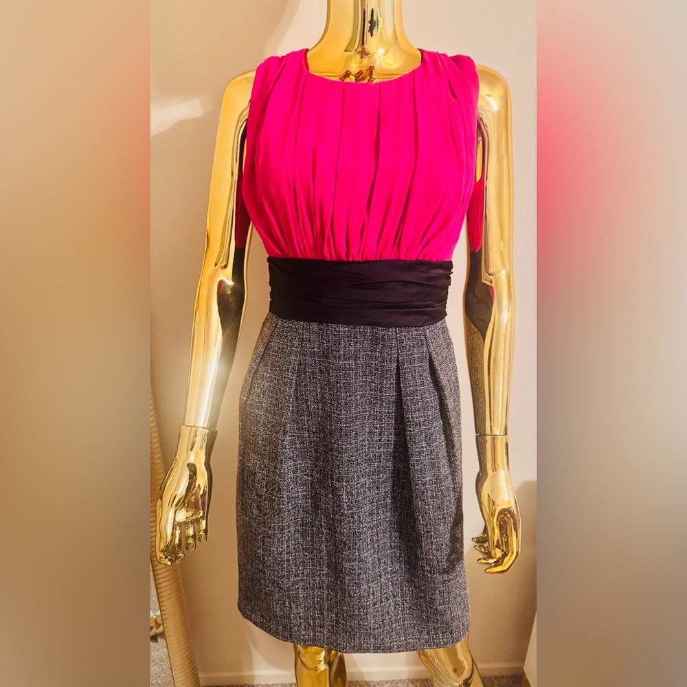 Max & Cleo Pink and Gray Mini Dress